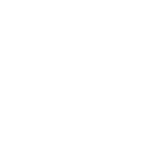 Brand Business Brokerage SC
